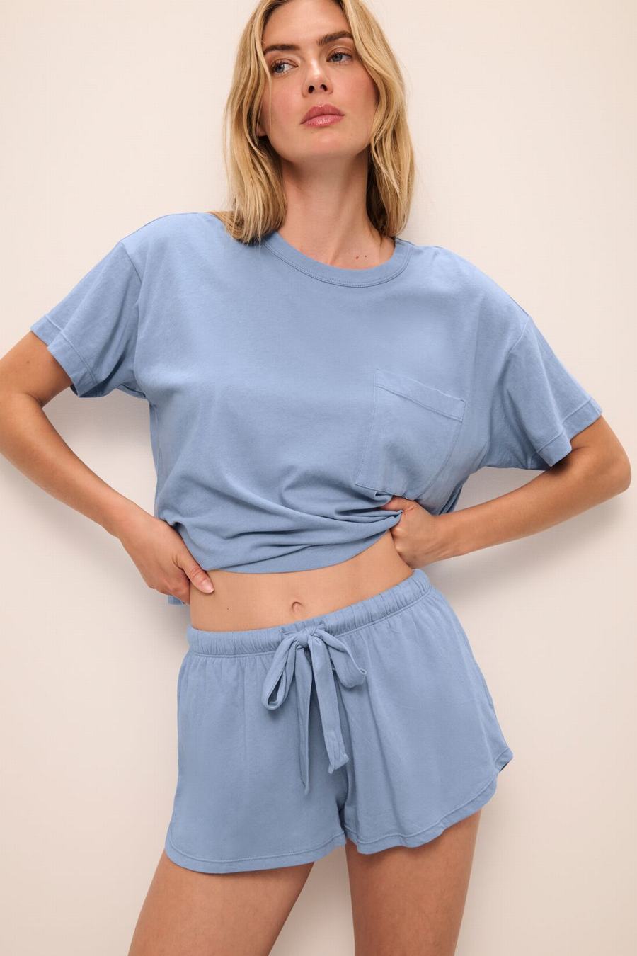 Eberjey Aloe Cotton Short Sleeve Women T-Shirt Blue | ALU9468NM