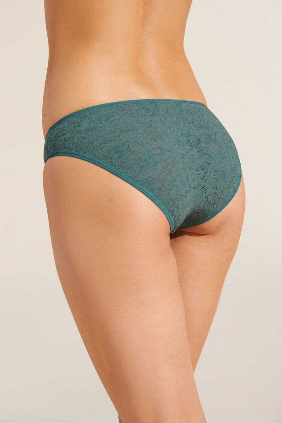 Eberjey Soft Stretch Recycled Lace High Leg Women Briefs Green | BQO4054QR